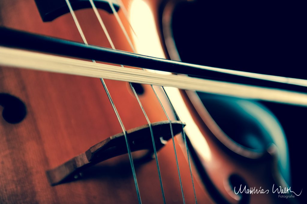 Cellistin Fotostudio Hannover 1